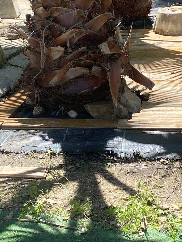 Abrir modal de revisión 1 de 1