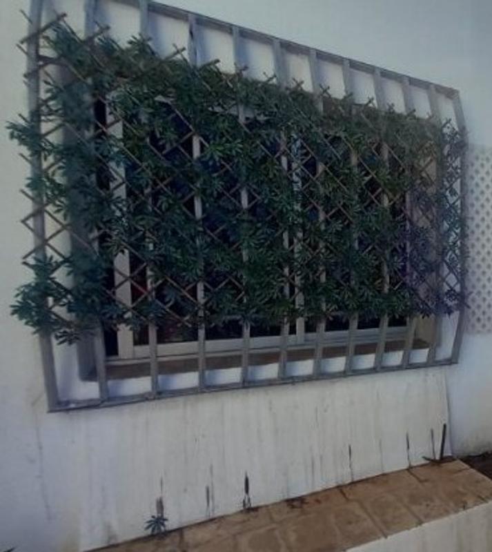 Abrir modal de revisión 4 de 4