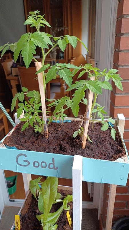 Abrir modal de revisión 1 de 1