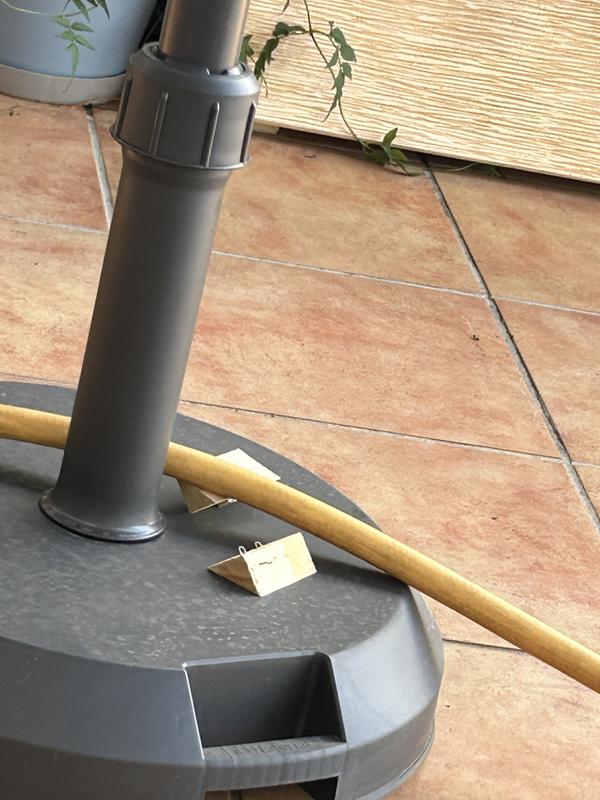 Abrir modal de revisión 1 de 3