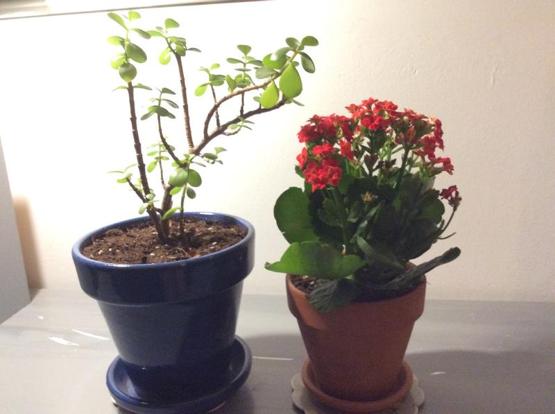 Abrir modal de revisión 1 de 2