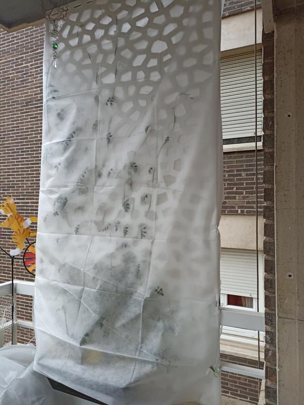 Abrir modal de revisión 1 de 2