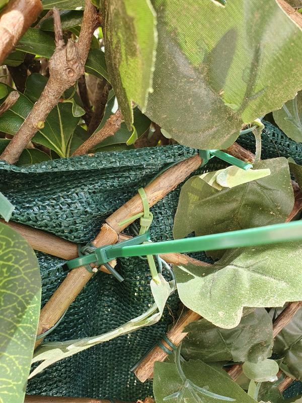 Abra o modal de avaliação 2 de 3