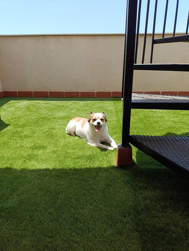 Abra o modal de avaliação 1 de 1