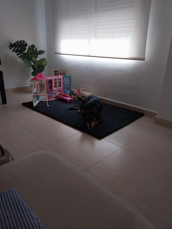 Abrir modal de revisión 1 de 1