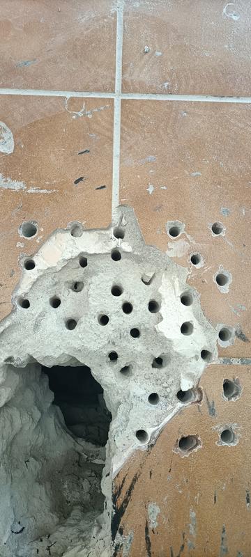 Revisione aperta modale 1 su 3