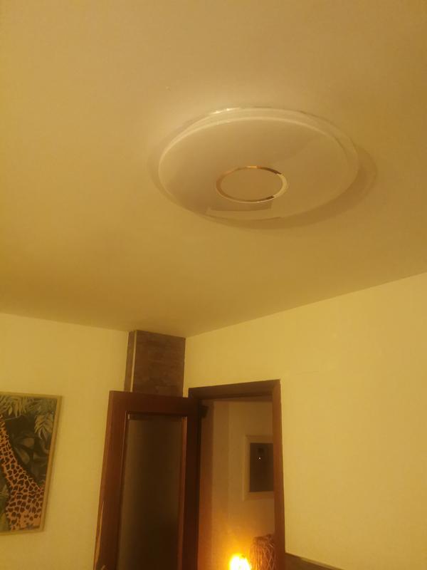 Abrir modal de revisión 1 de 1