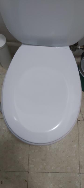 Bisagras para tapa wc amortiguada sensea sparta 2024 - Matric