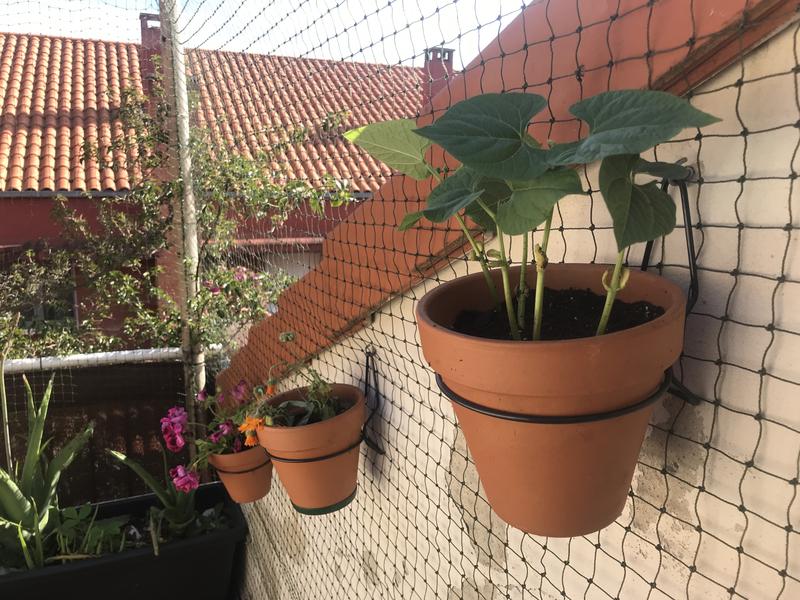 Abrir modal de revisión 1 de 1