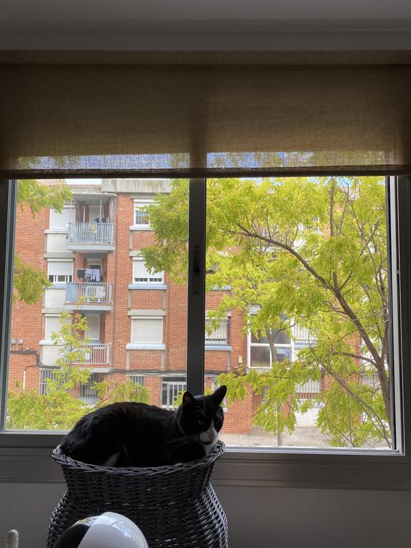 Abrir modal de revisión 1 de 1