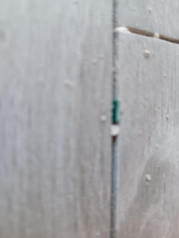 Revisione aperta modale 3 su 5