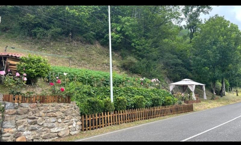 Abrir modal de revisión 1 de 1