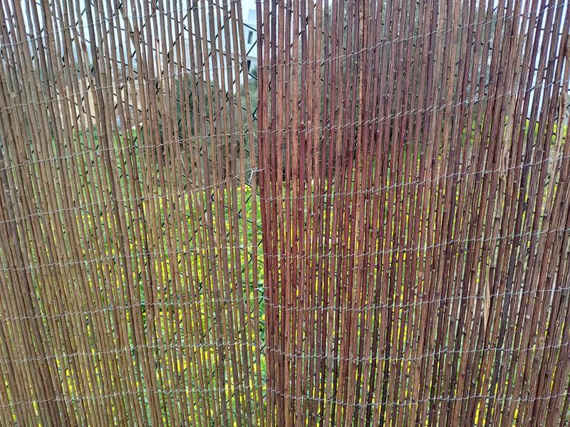 Revisione aperta modale 1 su 1