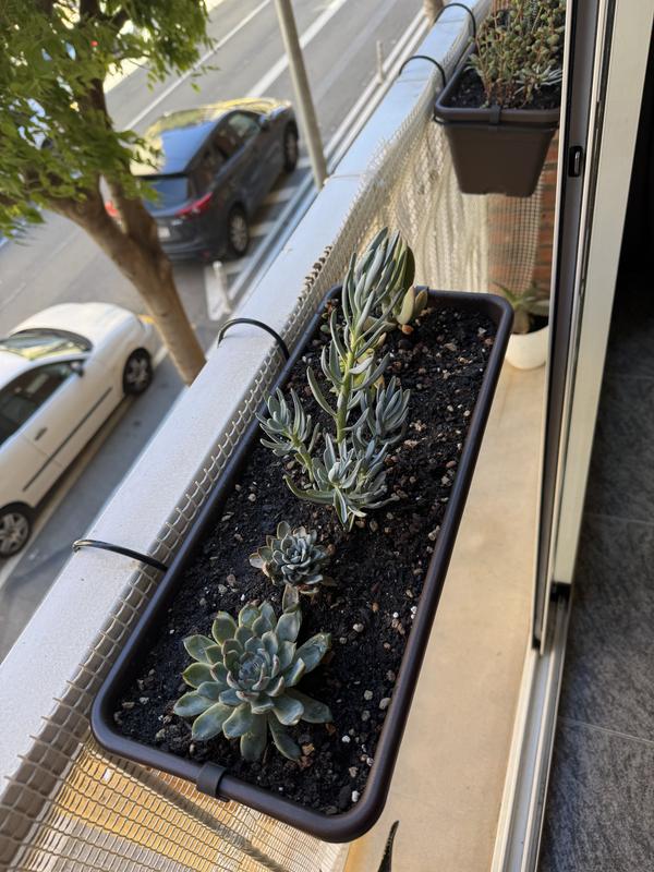 Abrir modal de revisión 1 de 2