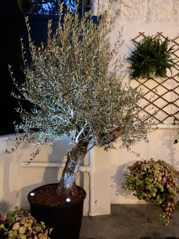 Abrir modal de revisión 1 de 1