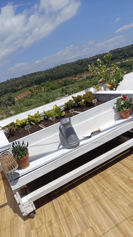 Abrir modal de revisión 1 de 1