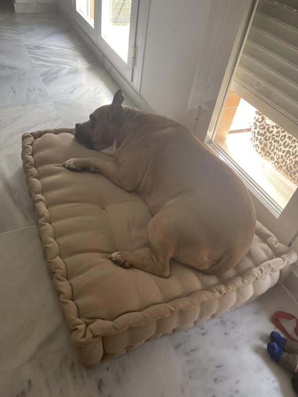 Abrir modal de revisión 1 de 1