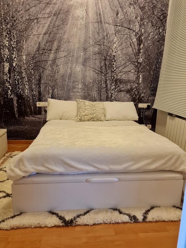 Abrir modal de revisión 1 de 1