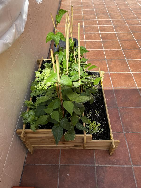 Abra o modal de avaliação 1 de 1