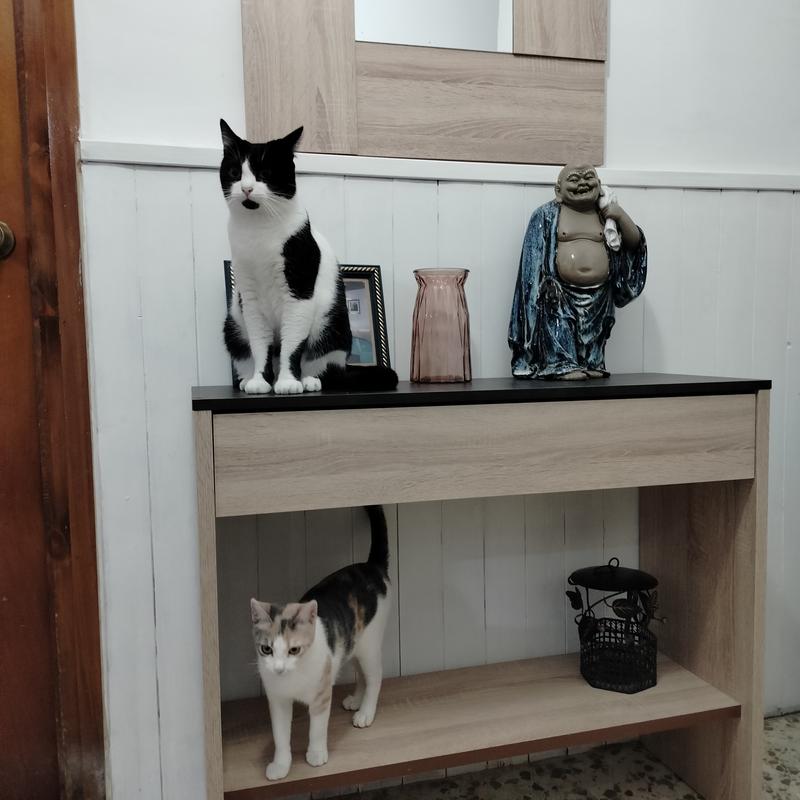 Abrir modal de revisión 1 de 1