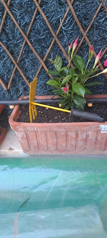 Abra o modal de avaliação 1 de 1