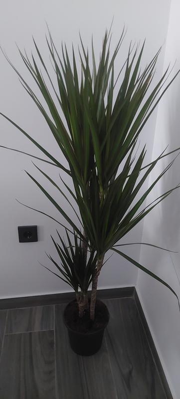 Ouvrir la fenêtre modale de l'avis 1 sur 1