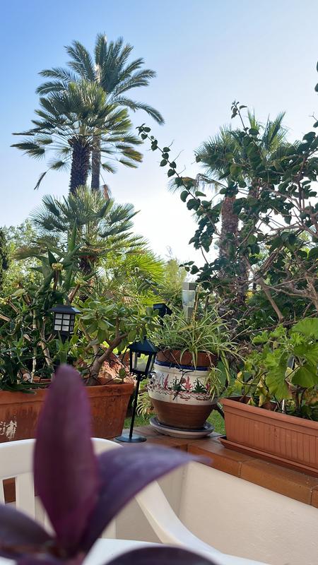 Abra o modal de avaliação 1 de 1