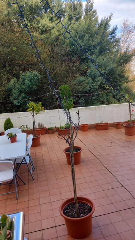 Abrir modal de revisión 1 de 2