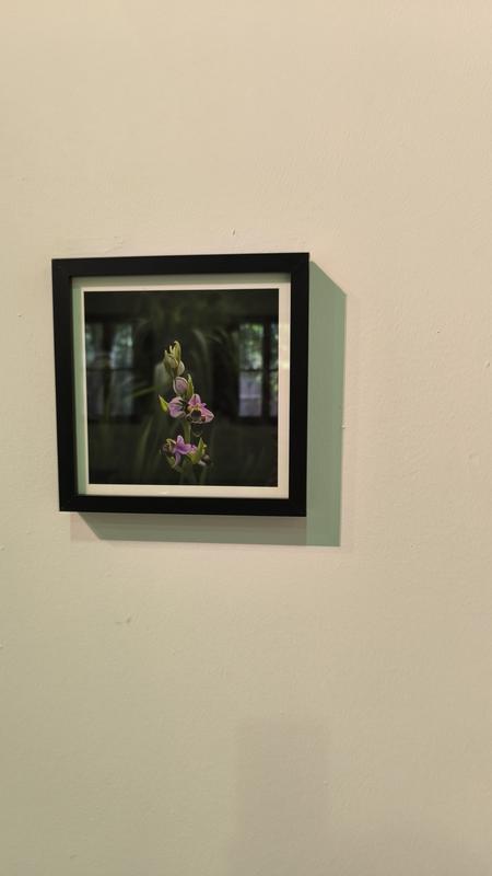 Abrir modal de revisión 1 de 1