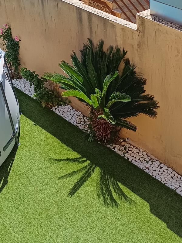 Abrir modal de revisión 2 de 2