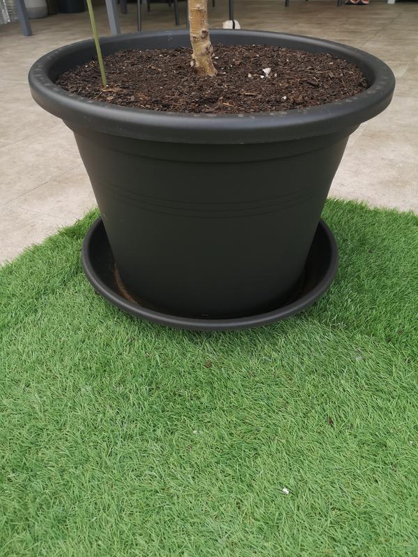 Abrir modal de revisión 1 de 1