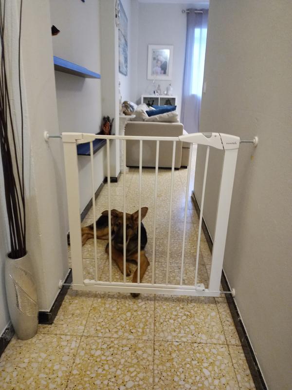 Abrir modal de revisión 1 de 1