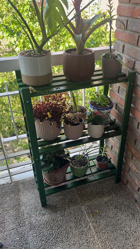 Abrir modal de revisión 1 de 1