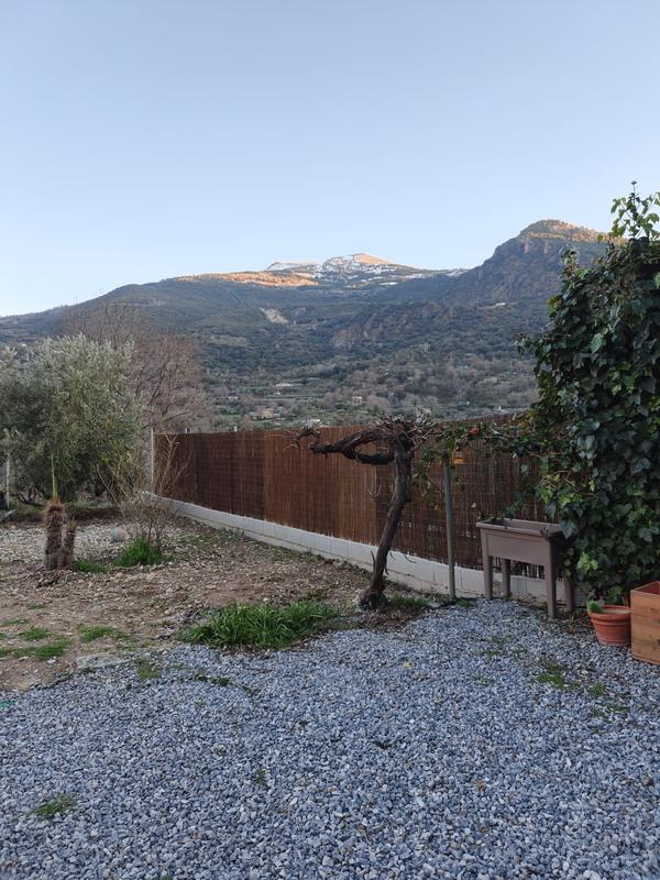 Revisione aperta modale 1 su 1
