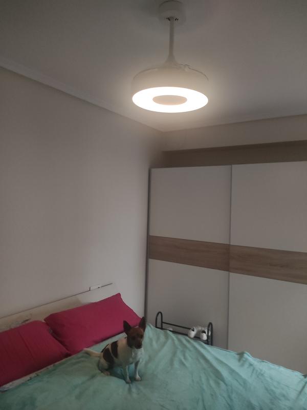 Revisione aperta modale 1 su 1