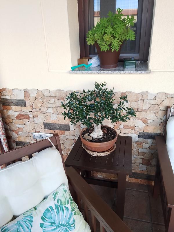 Abrir modal de revisión 1 de 1