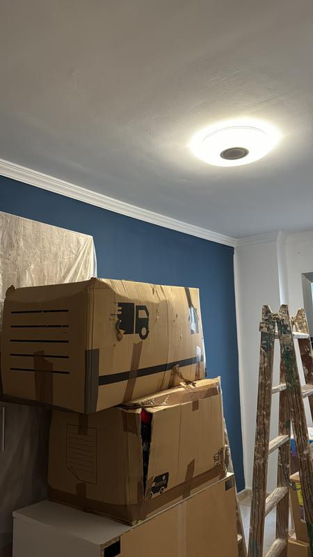 Abrir modal de revisión 5 de 5