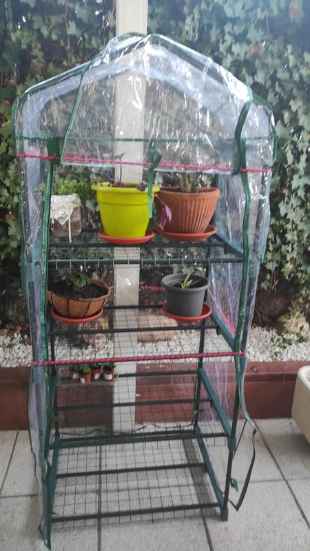 Abrir modal de revisión 1 de 1