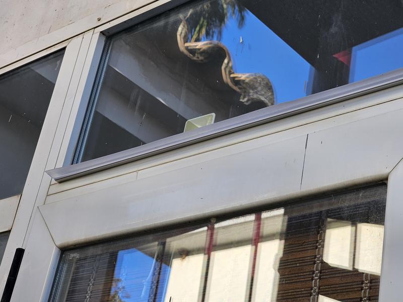 Abrir modal de revisión 1 de 1