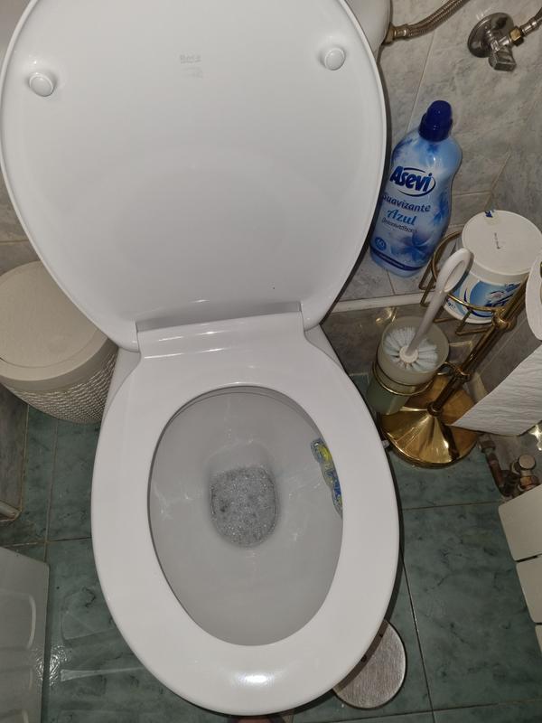 Tapa WC Roca Victoria Adaptable Duroplast/Herrajes de Nylon/Facil  Instalación y Limpieza