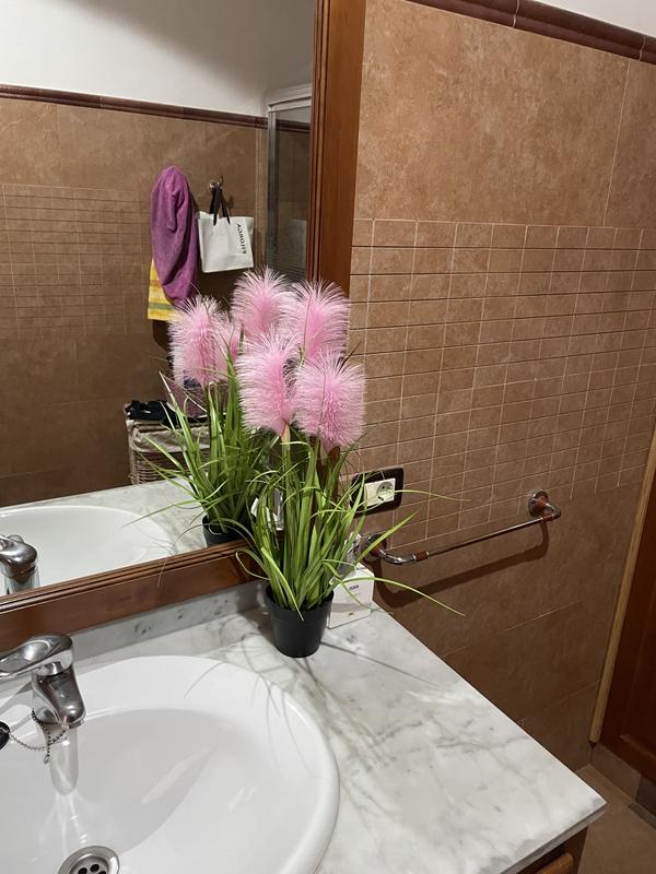 Abra o modal de avaliação 1 de 1