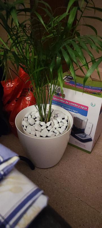 Abrir modal de revisión 1 de 1