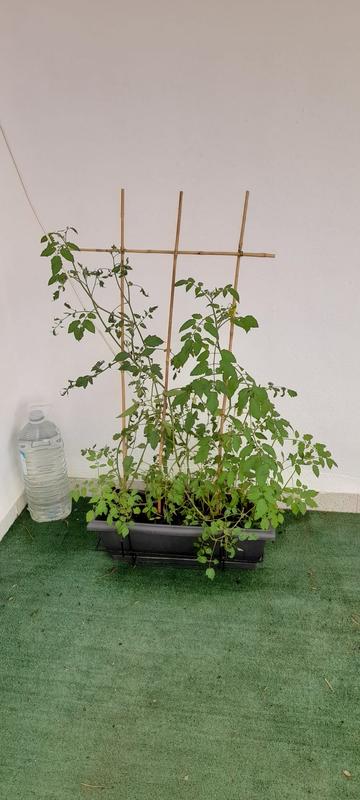 Abra o modal de avaliação 3 de 3