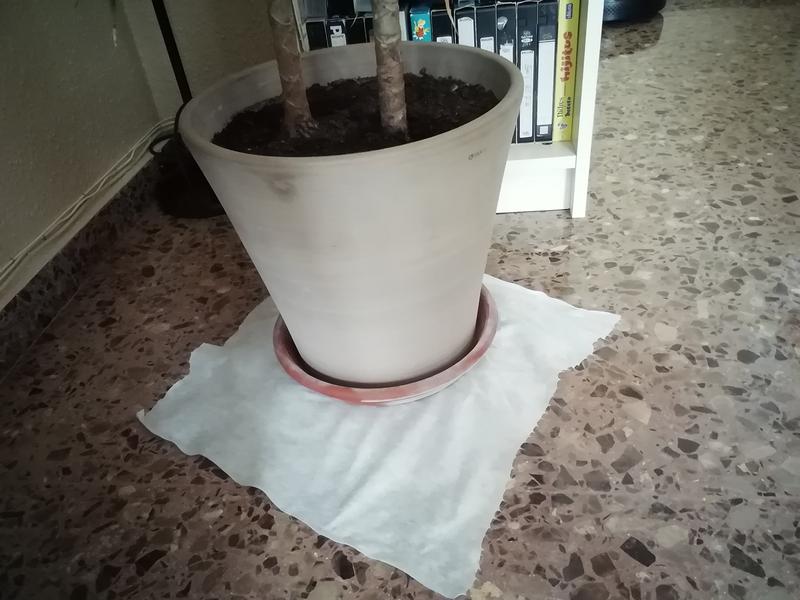 Abrir modal de revisión 2 de 2