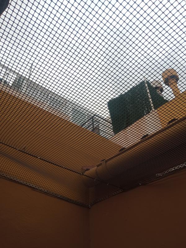 Revisione aperta modale 1 su 1