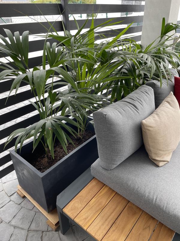 Abrir modal de revisión 1 de 1