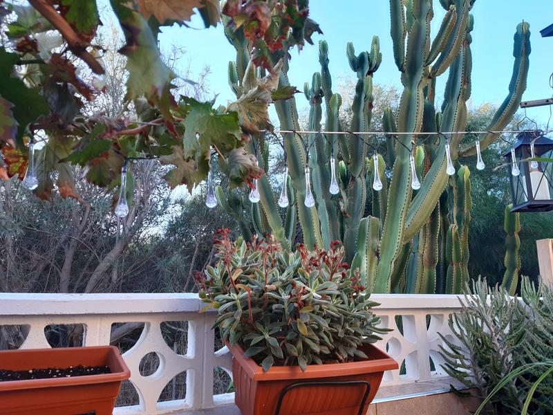 Abrir modal de revisión 1 de 1