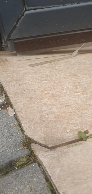 Abrir modal de revisión 1 de 1