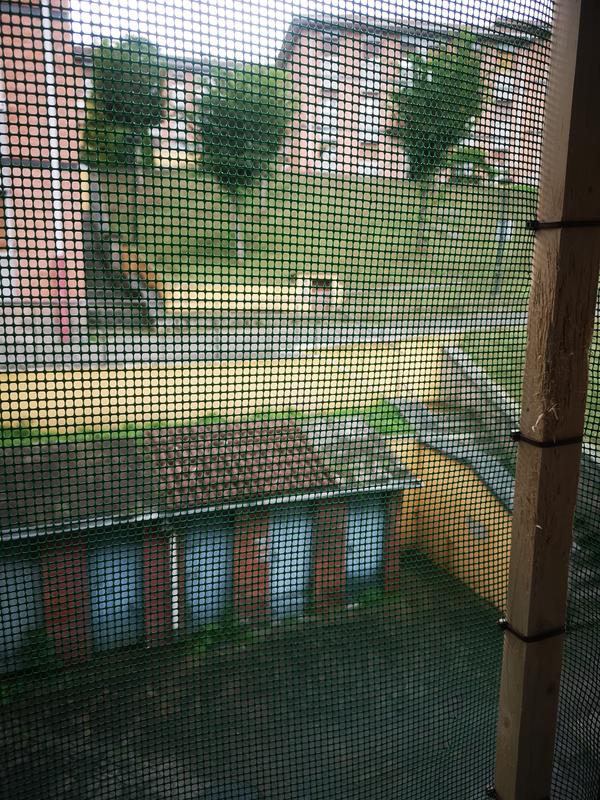 Abrir modal de revisión 1 de 2