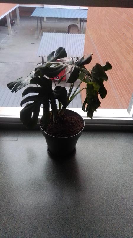 Abrir modal de revisión 1 de 1